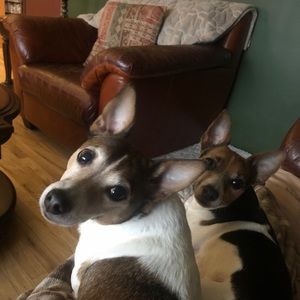 Meet your Posher, Thomas